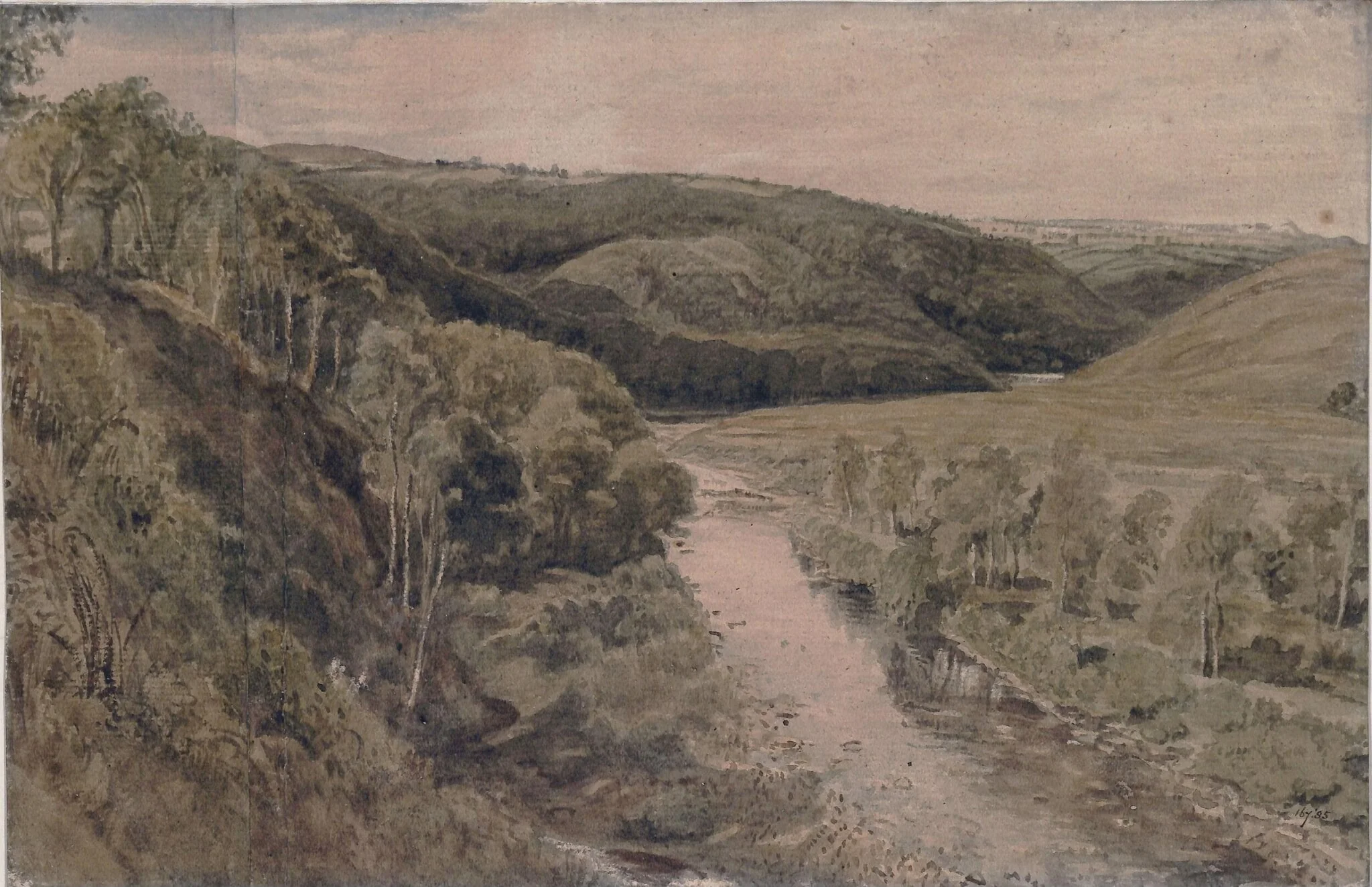 Hilly wooded landscape