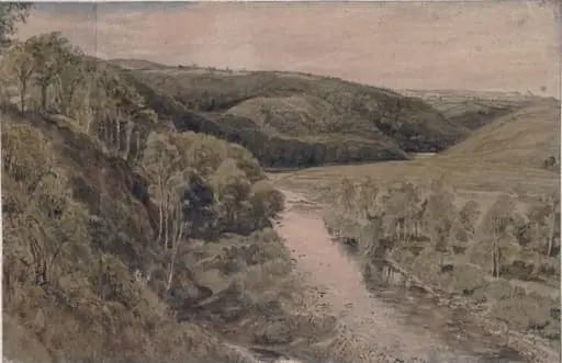 Hilly wooded landscape