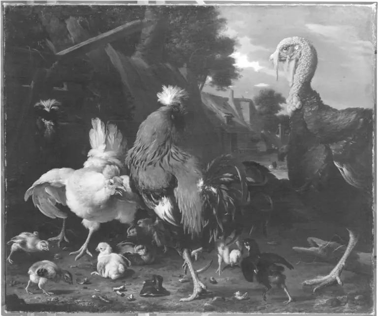 A turkey, chickens and quails in a farmyard