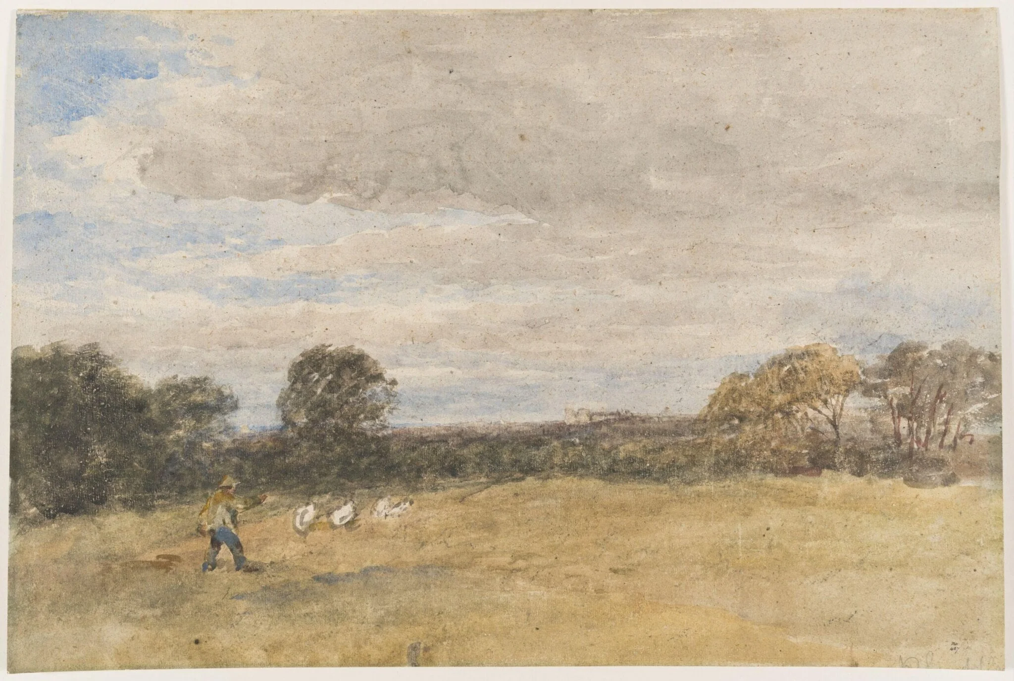 Distant View of Windsor