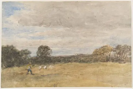 Distant View of Windsor
