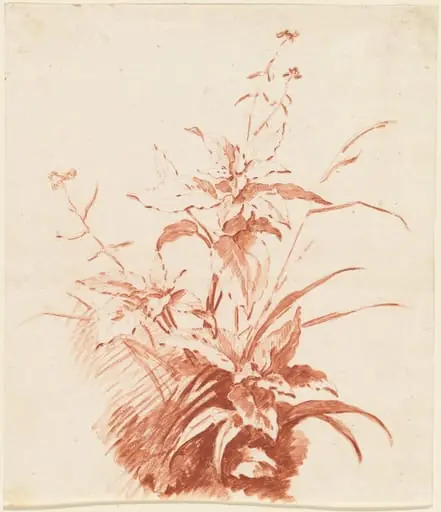 Flowering Plant with Grass