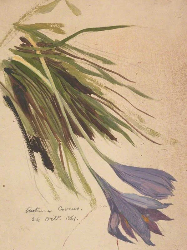 Autumn Crocus, by William Bell Scott, unspecified, 1861