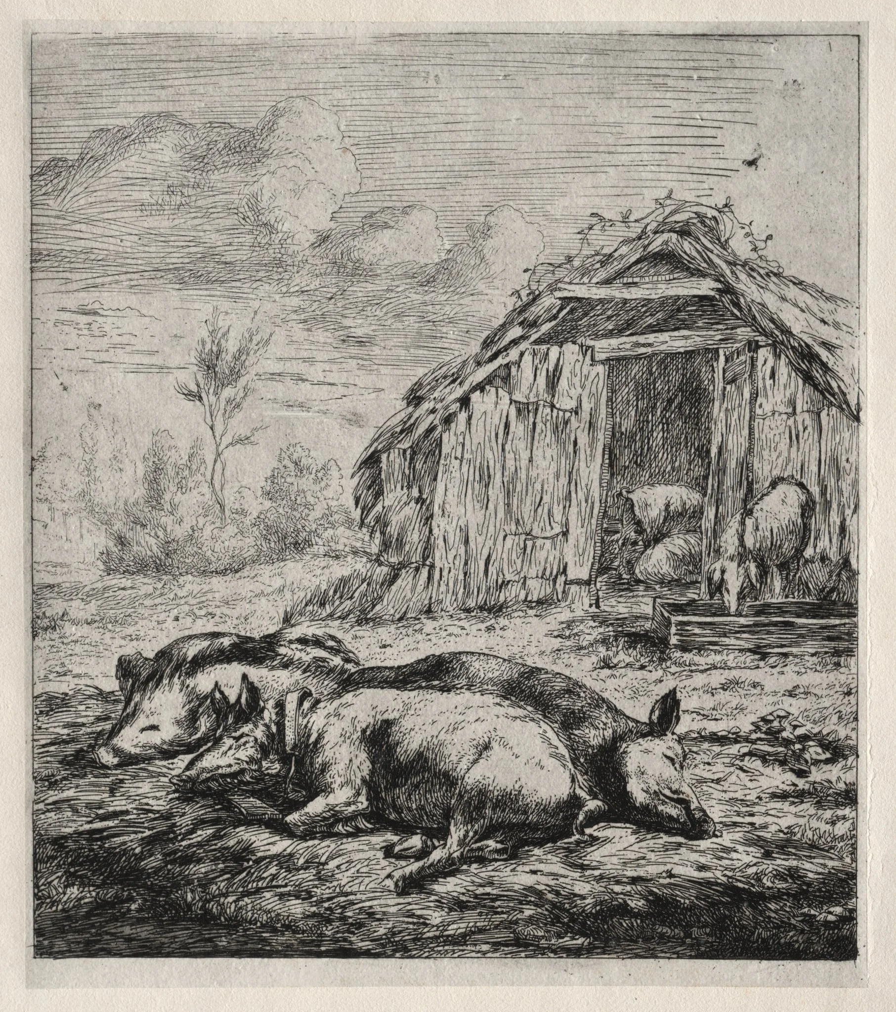 Three Swine Lying in Front of a Sty, by Charles Meryon, 1850