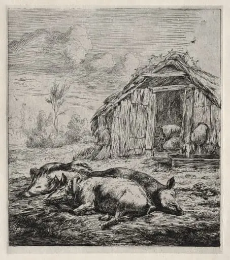 Three Swine Lying in Front of a Sty