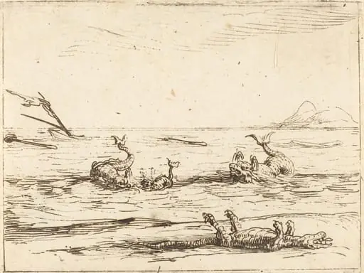 Dolphins and Crocodile