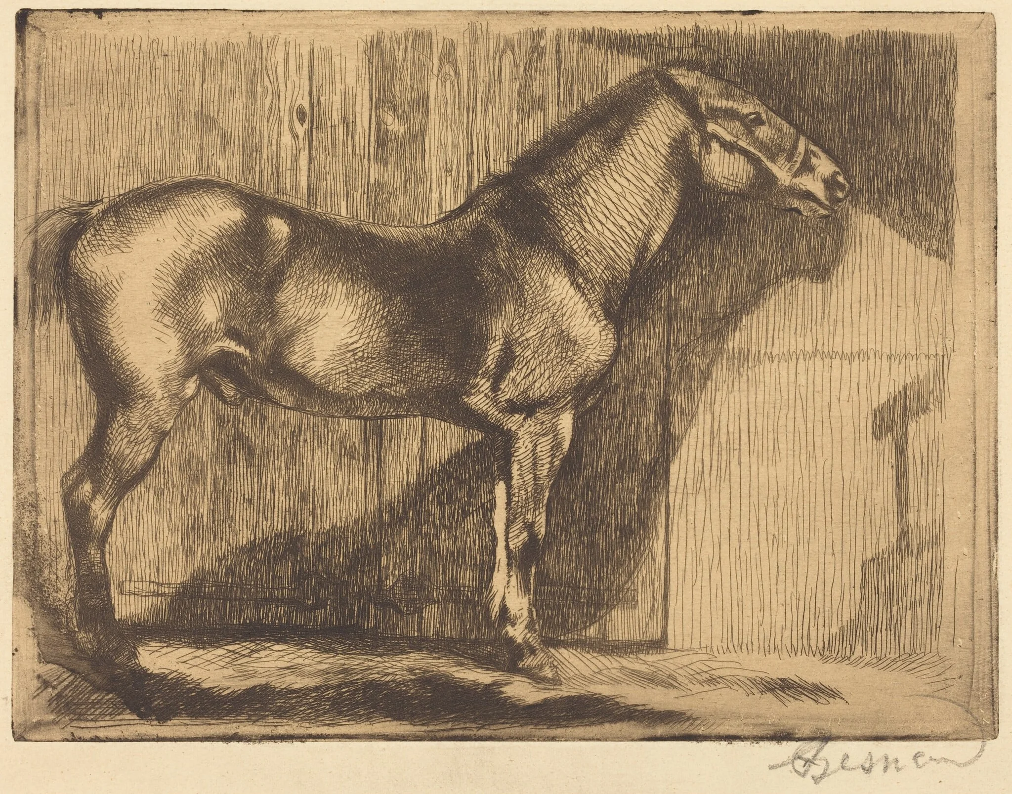 Pony (Le poney), by Paul-Albert Besnard, ink, 1892
