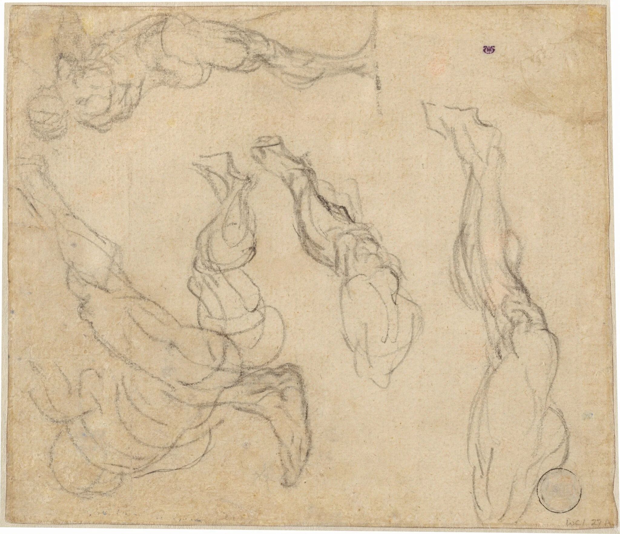 Head of a Boy (verso)