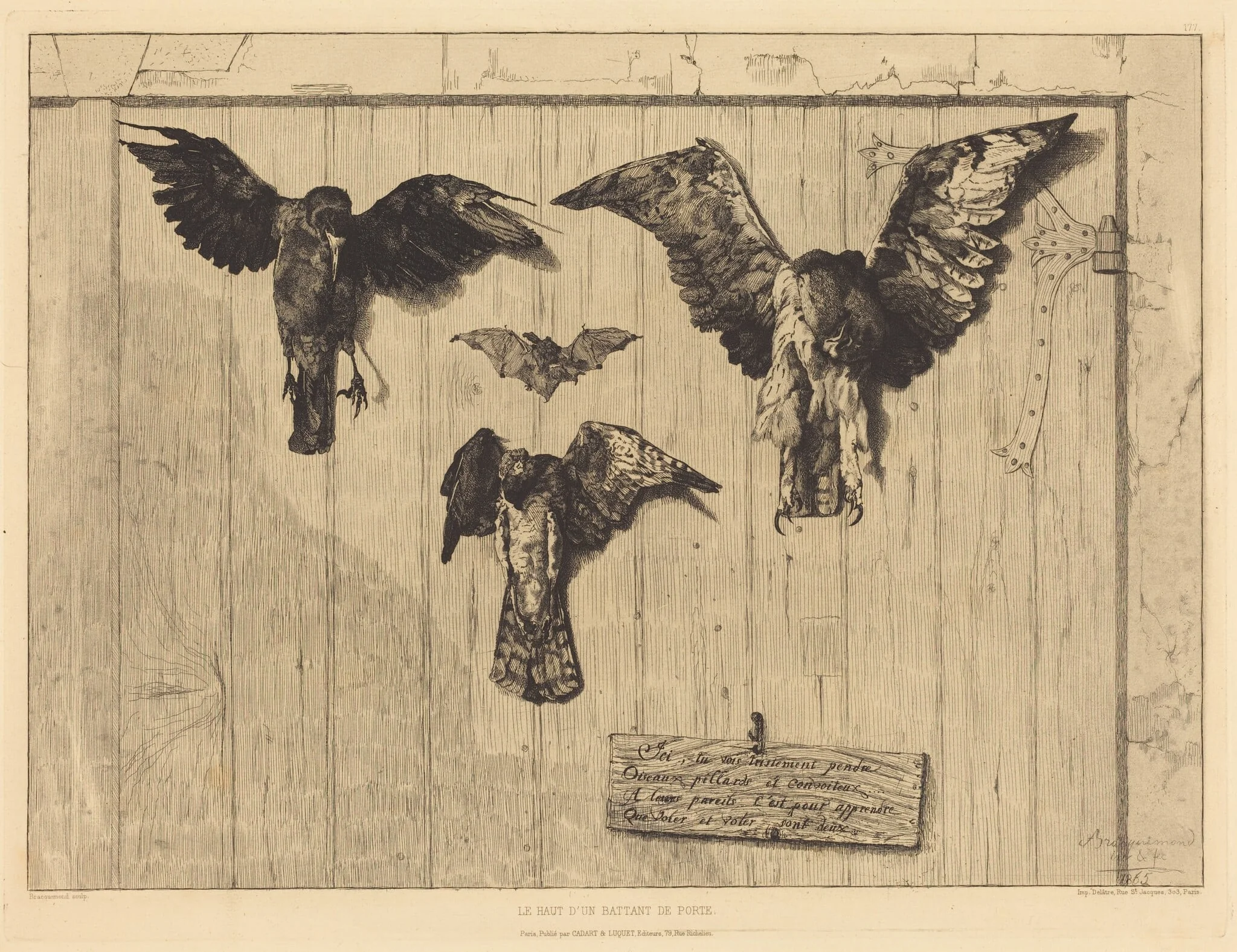 Le Haut d'un battant de porte (Birds Nailed to a Barn Door), by Félix Bracquemond, ink, 1852
