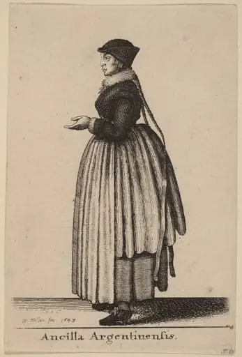 Ancilla Argentinensis