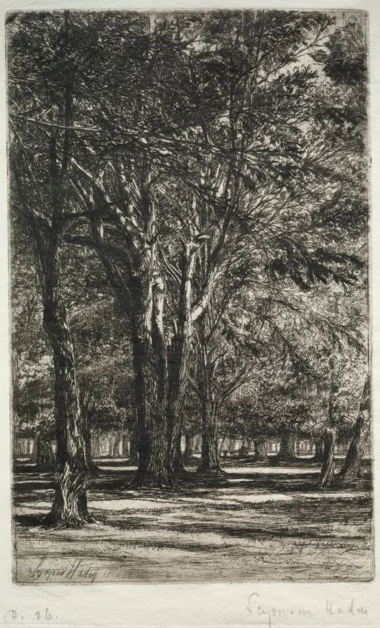 Kensington Gardens (The Larger Plate), by Francis Seymour Haden, 1860