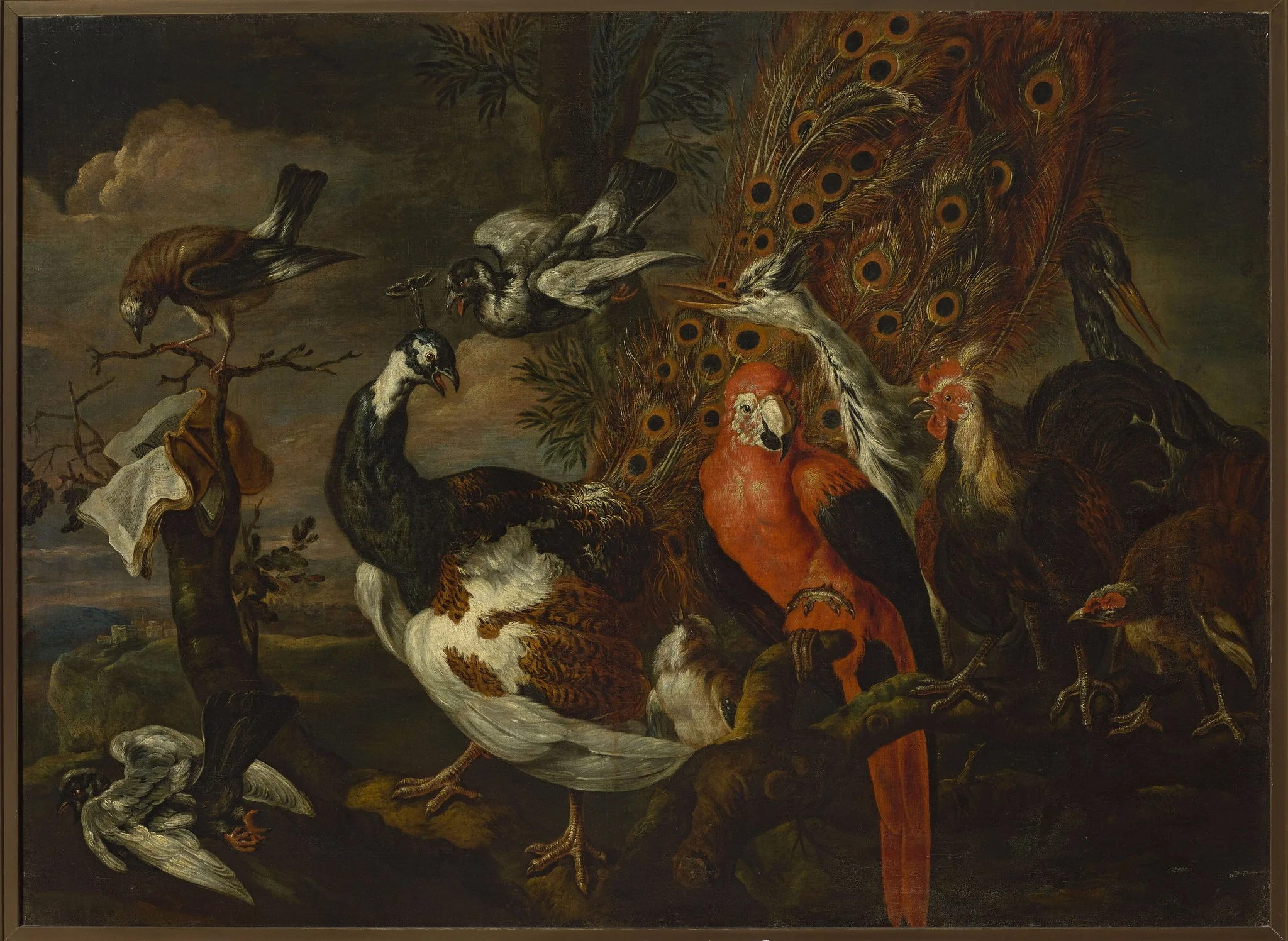 Bird concert