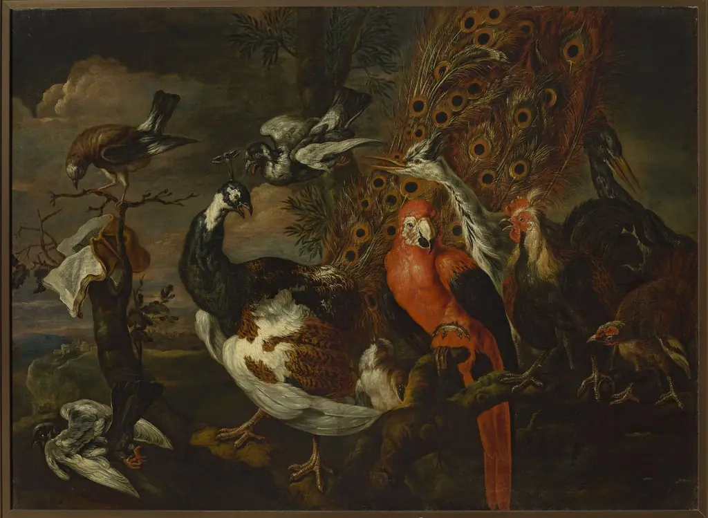 Bird concert