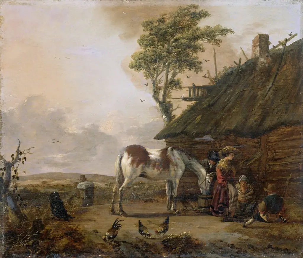 The spotted horse