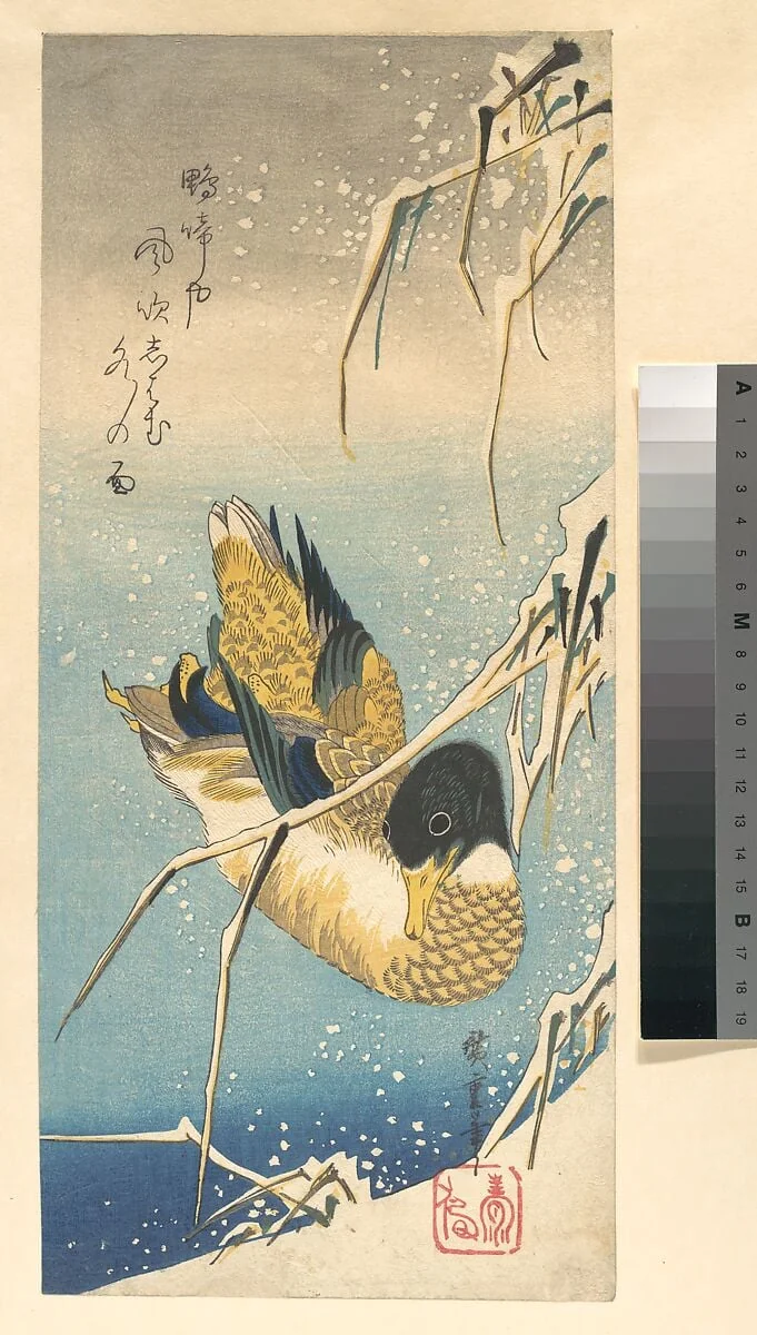 歌川広重画　雪中芦に鴨|Mallard Duck and Snow-covered Reeds, by Utagawa Hiroshige, ink, 1832