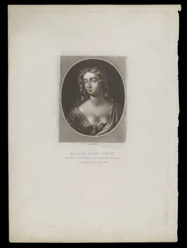 H Beard Print Collection