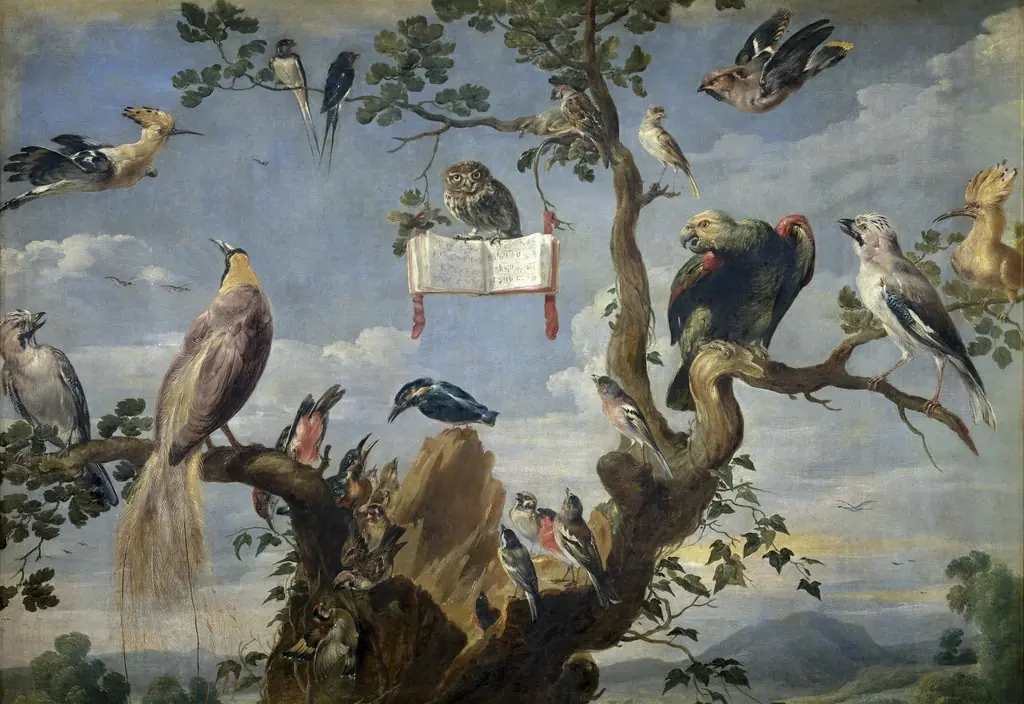 The Concert of Birds