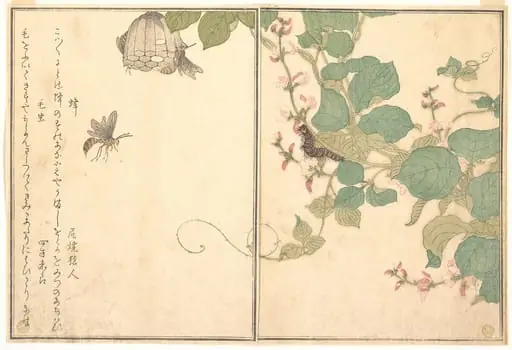『画本虫撰』  「蜂」「毛虫」|Paper Wasp (Hachi); Hairy Caterpillar (Kemushi), from the Picture Book of Crawling Creatures (Ehon mushi erami)