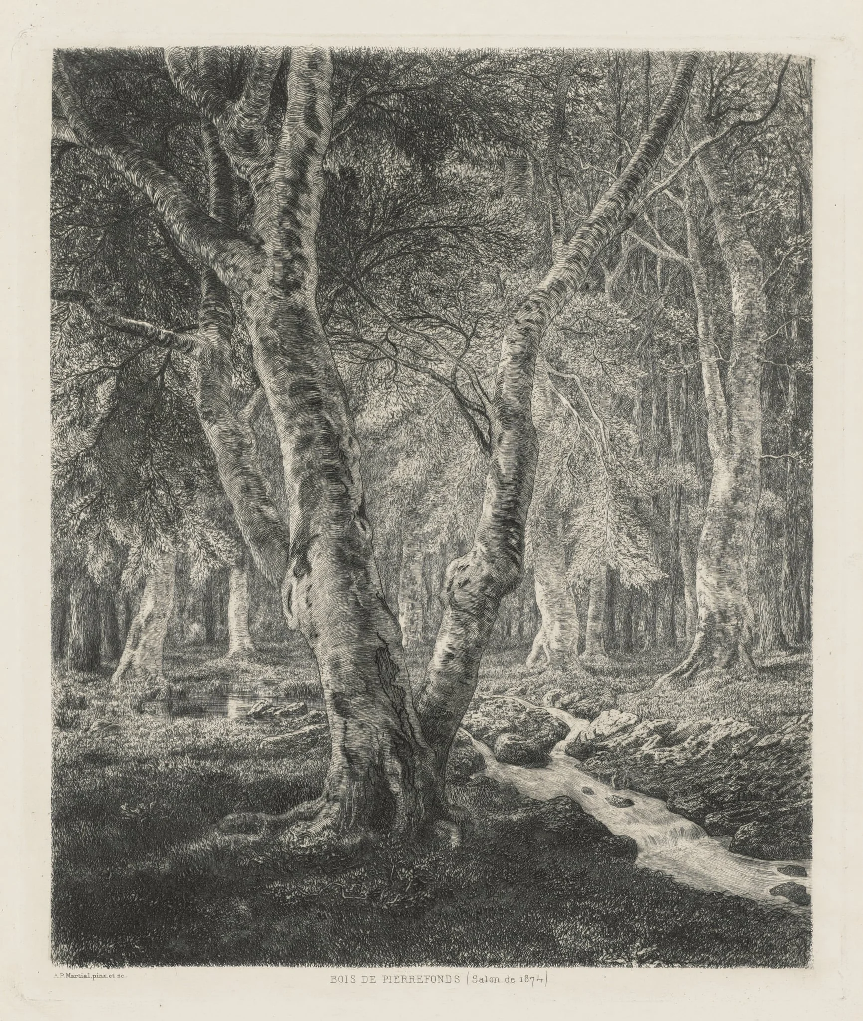 Bois de Pierrefonds