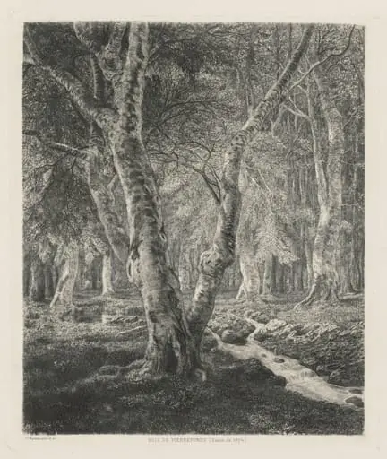 Bois de Pierrefonds