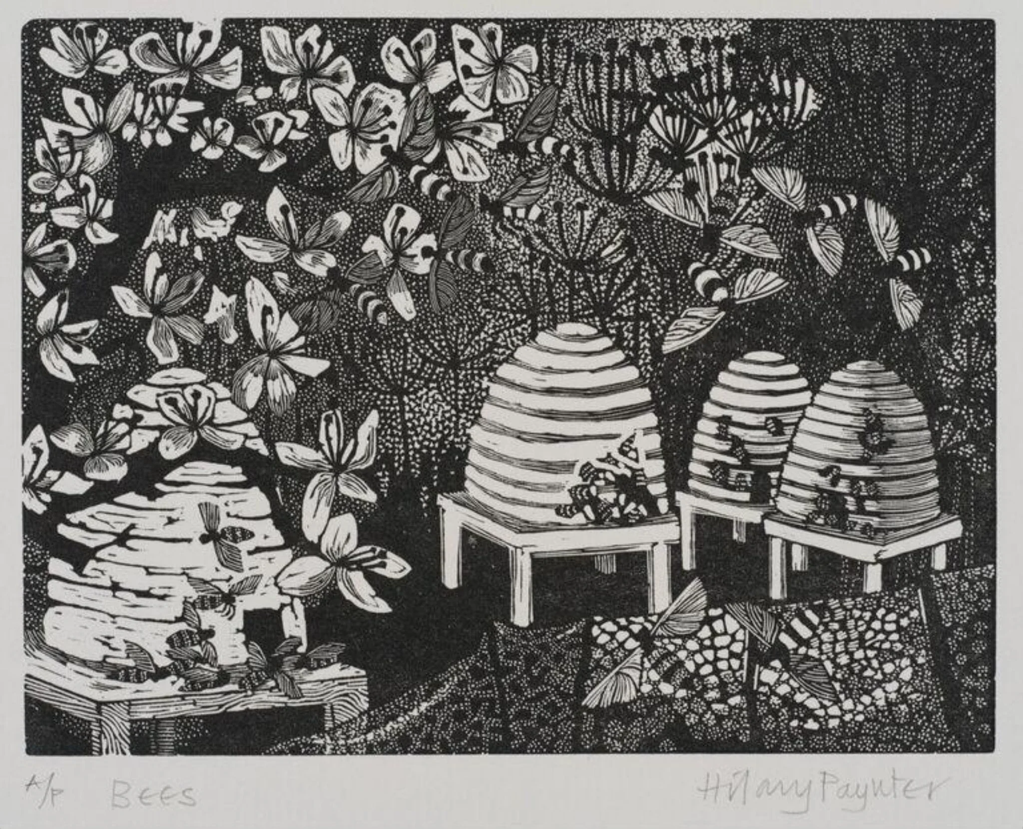 Bees, by Hilary Paynter, 1964