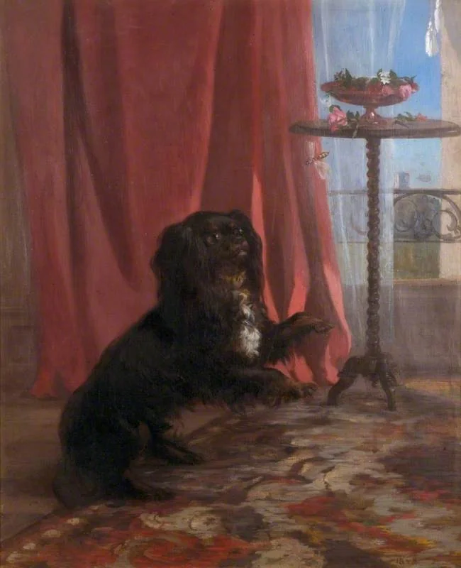 The Reverend Townshend's Dog
