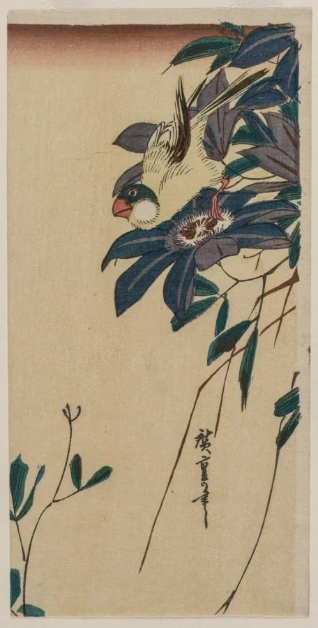Grosbeak and Clematis, by Utagawa Hiroshige, 1834