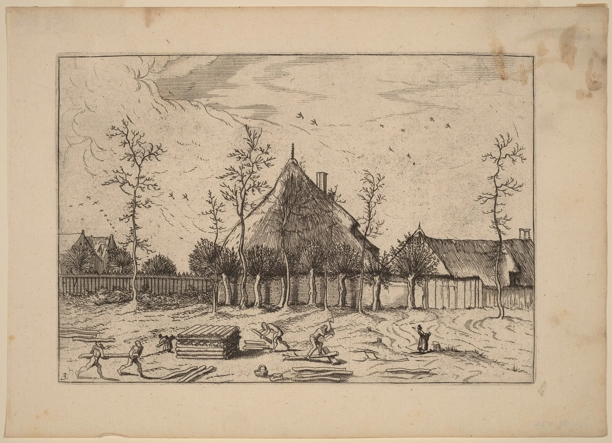 Farm