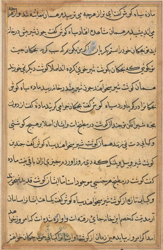 Page from Tales of a Parrot (Tuti-nama): text page