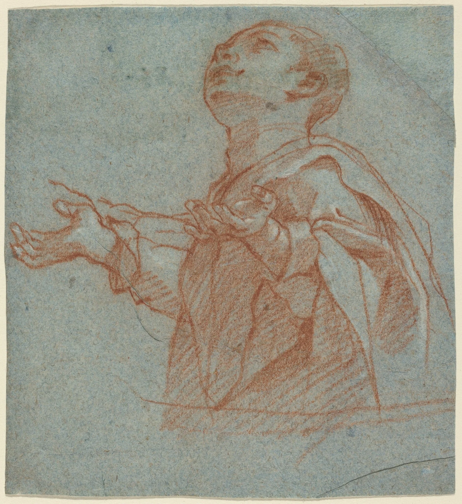 A Boy Gazing Upward in Adoration, by Bartolomeo Cesi, chalk, 1594