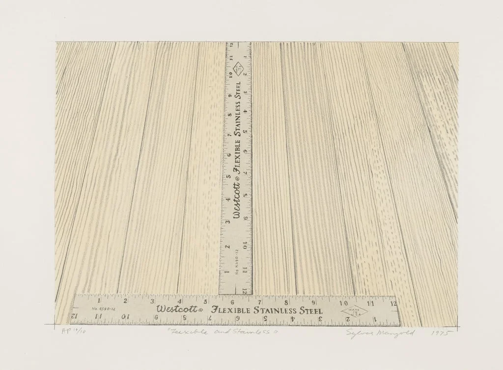 Untitled, by Sylvia Plimack Mangold, ink, 1975