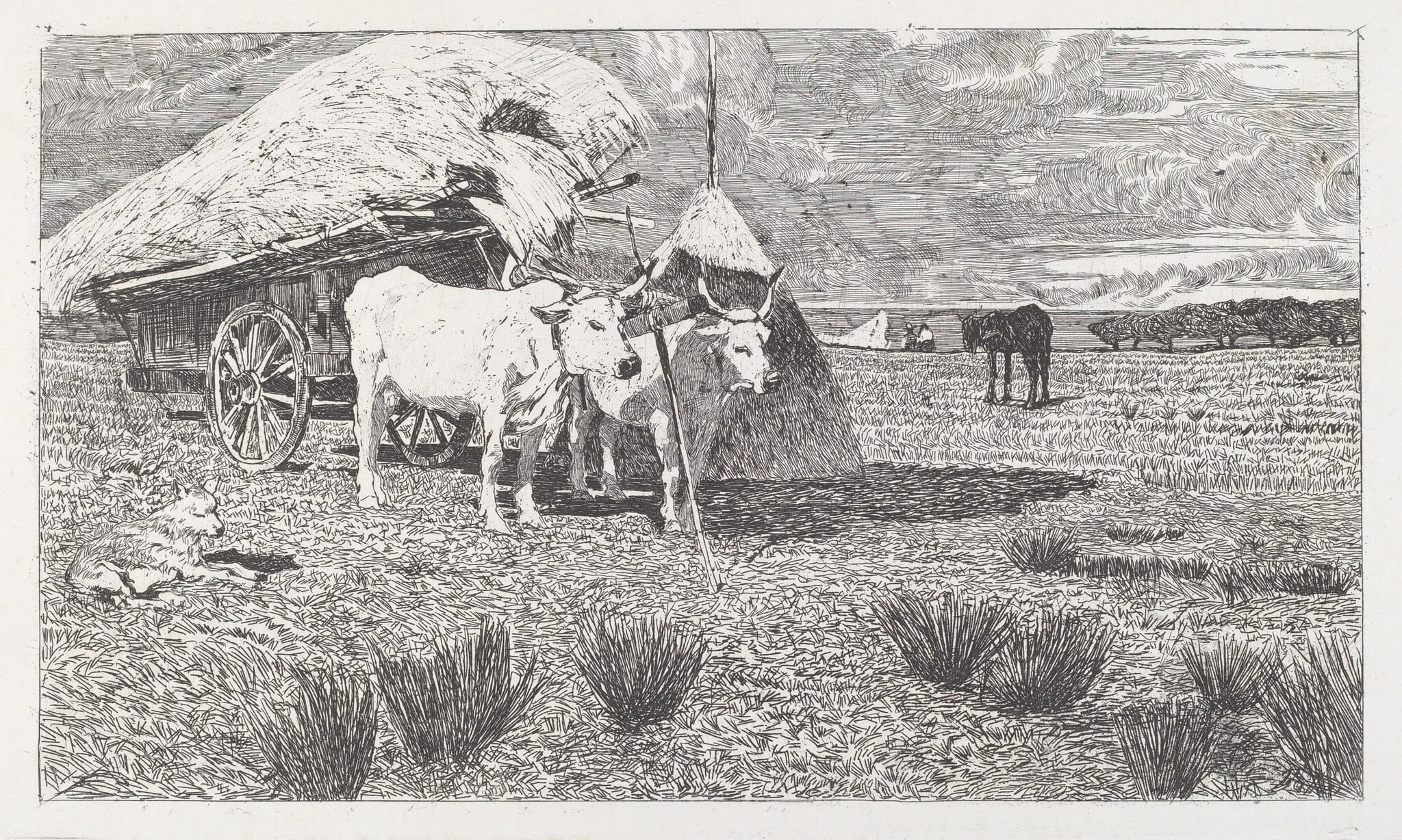 Oxen Yoked to a Cart (Maremma) (Bovi al carro (Maremma)), by Giovanni Fattori, ink, 1886