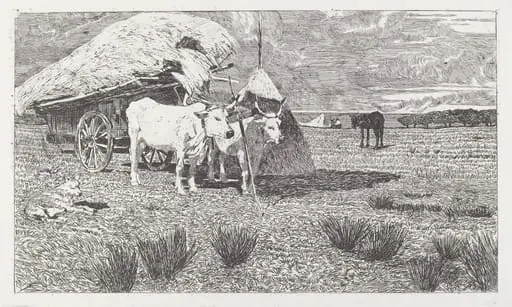 Oxen Yoked to a Cart (Maremma) (Bovi al carro (Maremma))