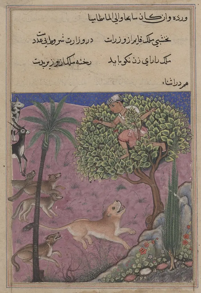 The wolf and the jackal, serving as viziers, instigate the lion who pursues the Brahman up a tree, from a Tuti-nama (Tales of a Parrot): Twenty-first Night