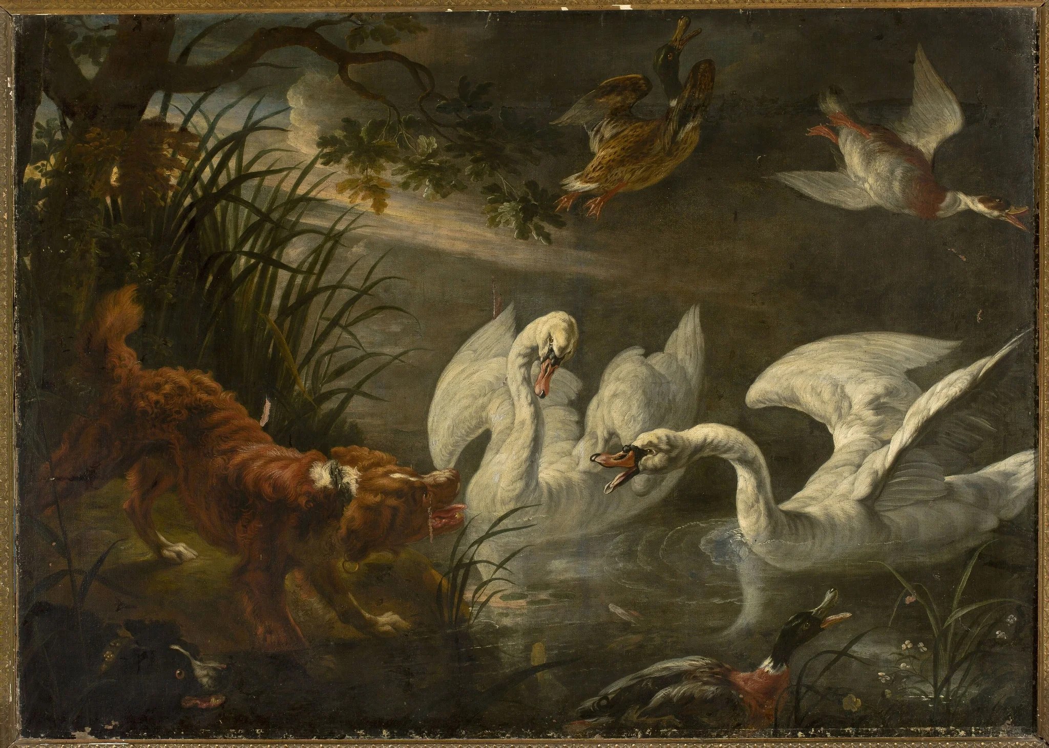 Dog and swans, by Jan Fyt, oil, 1646