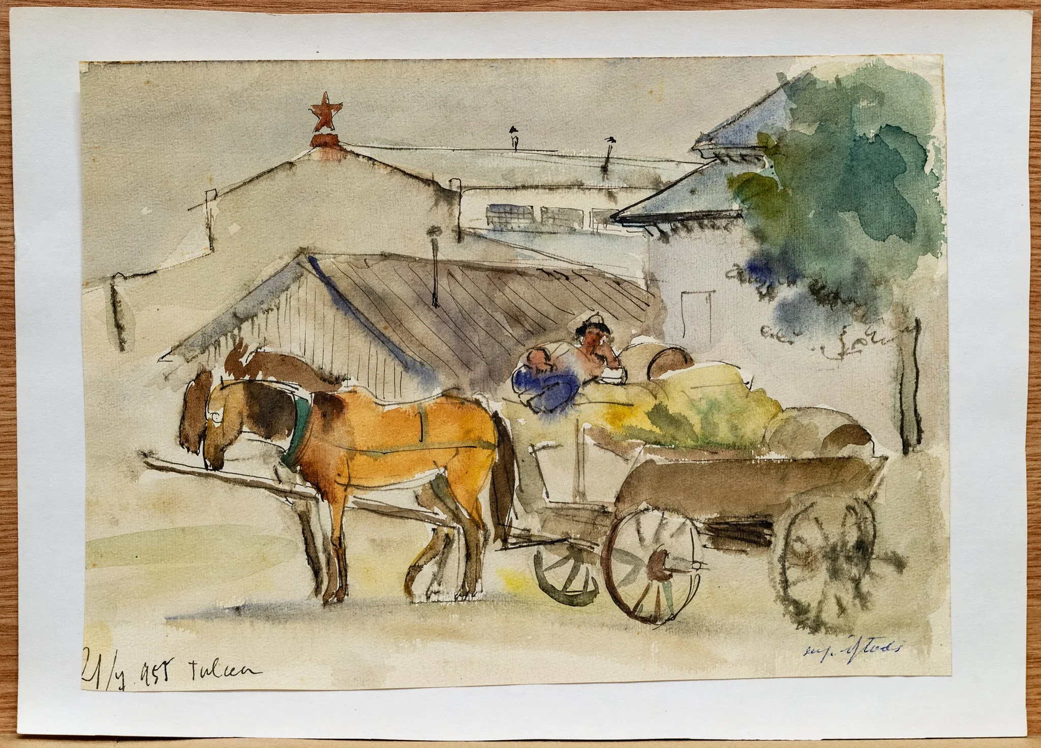 Căruțaș, by Eugenia Iftodi