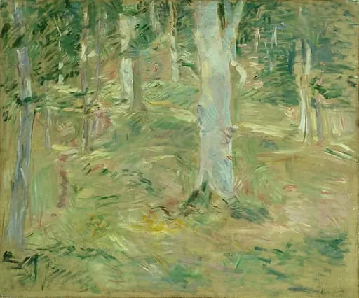 Forêt de Compiègne