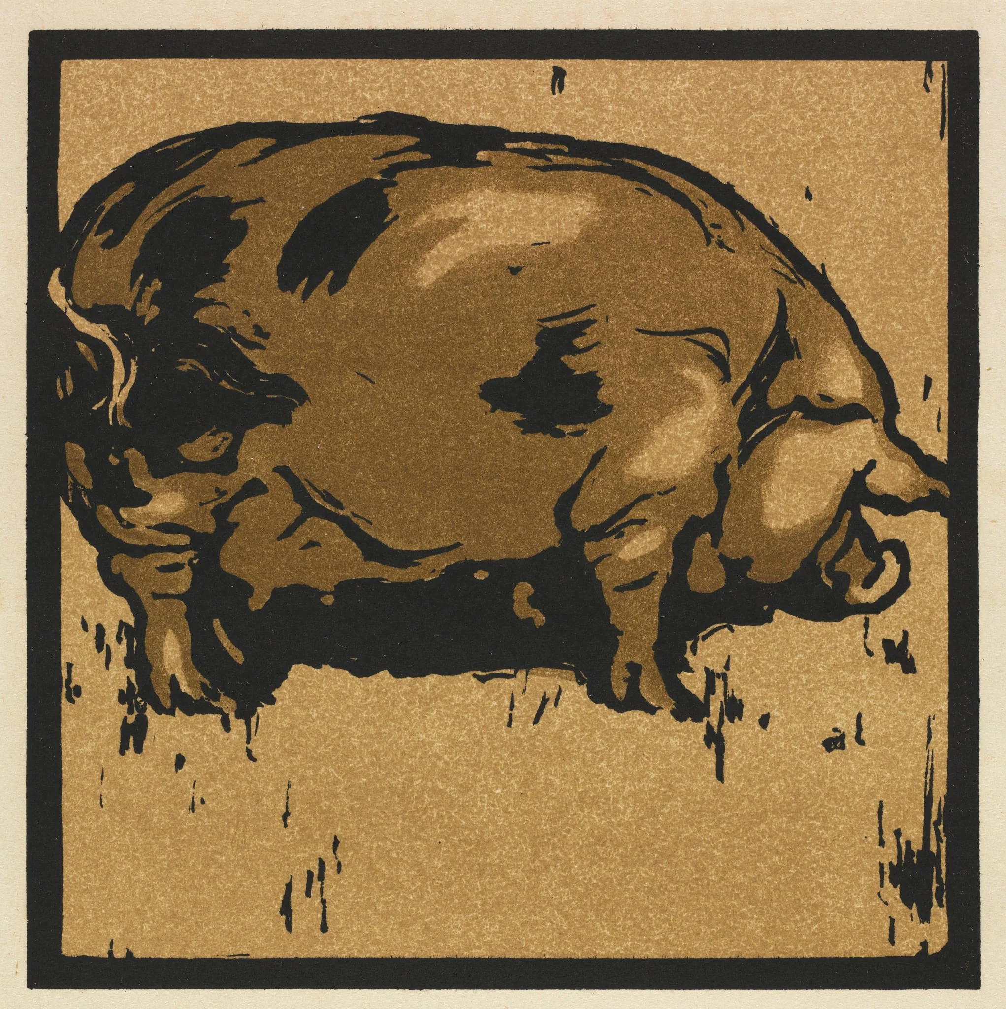 The Square Book of Animals: The Learned Pig, by William Nicholson, 1899