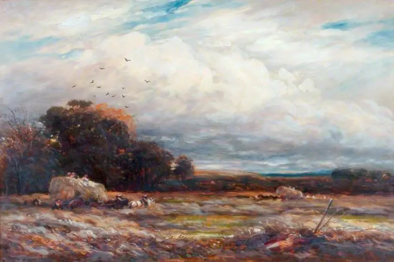 A Hayfield in Surrey