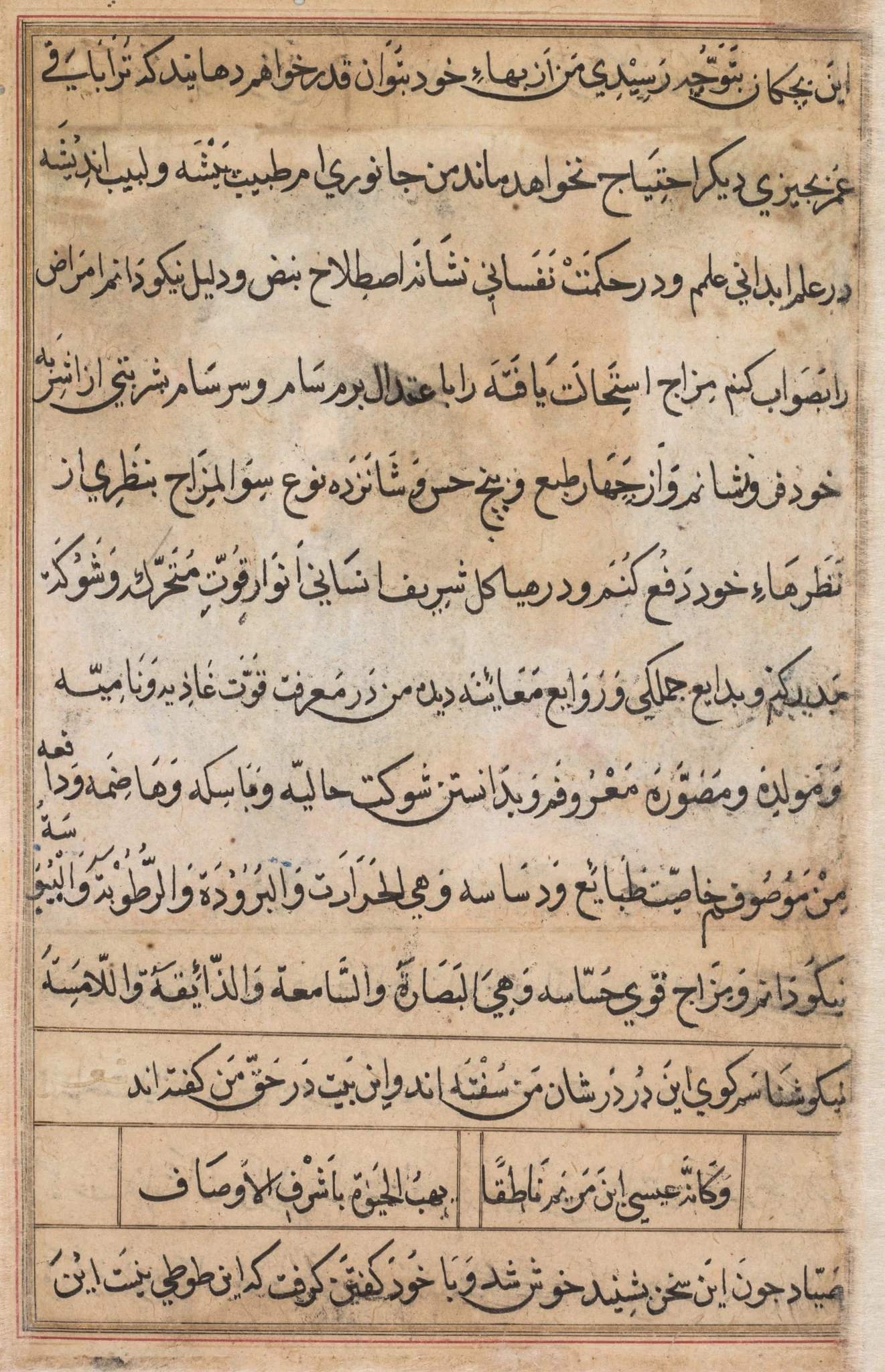 Page from Tales of a Parrot (Tuti-nama): text page, by Basawan, unspecified, 1560