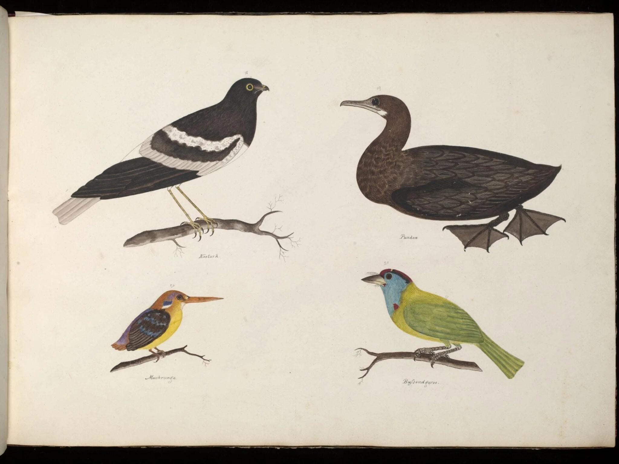 Four Birds