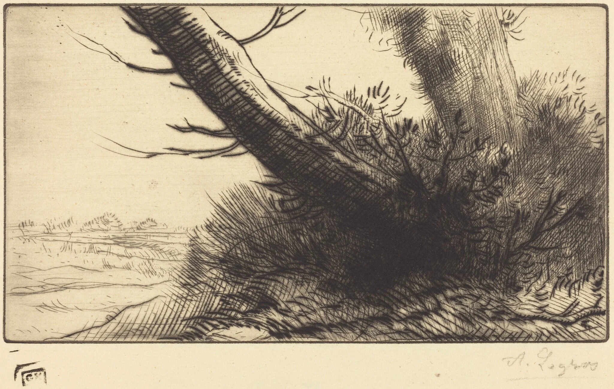 Corner of a Path (Au coin d'un chemin)