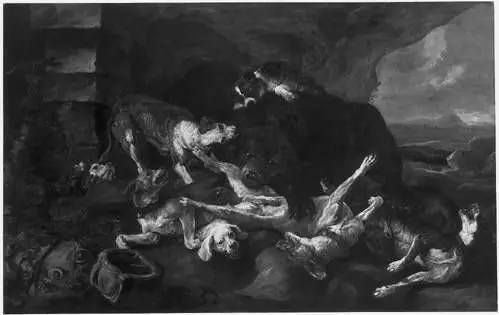 Dogs and a bear fighting