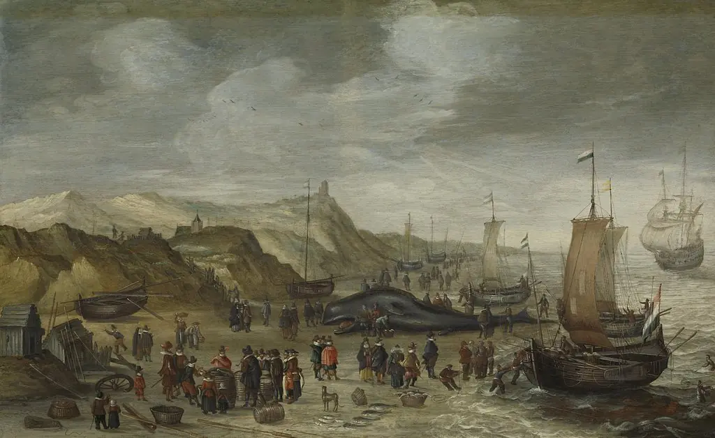 A Sperm Whale Washed up on the Beach at Noordwijk, 28 December 1614