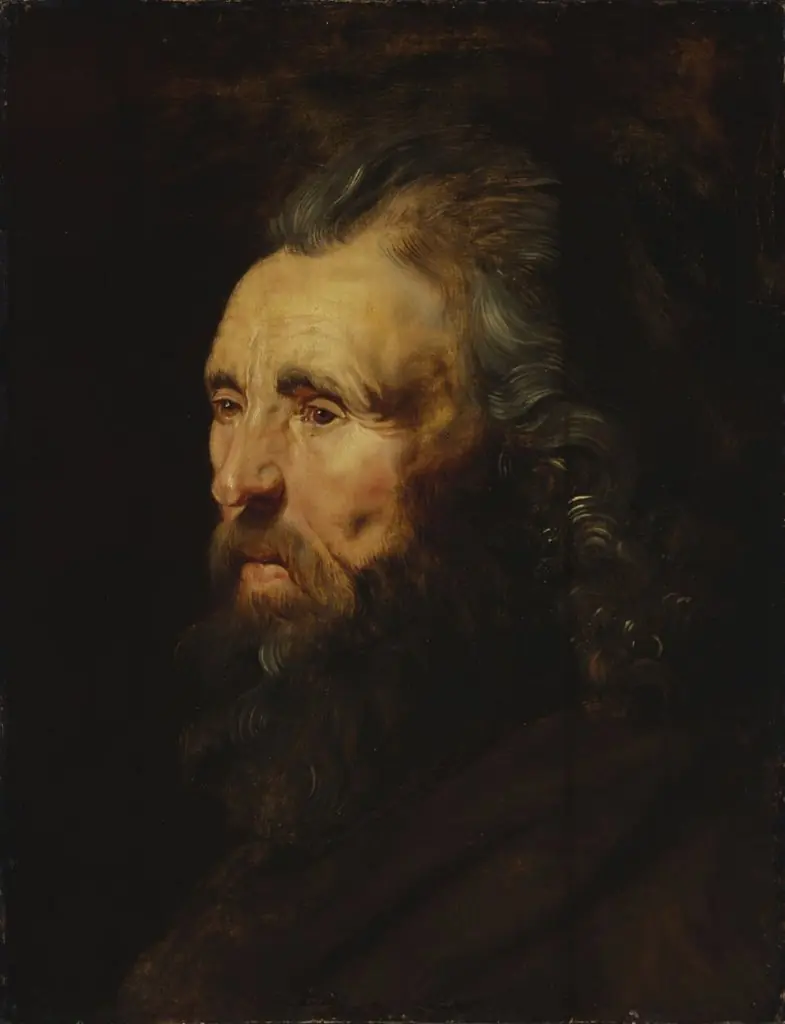 Study of a Man's Head