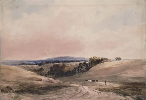 Landscape