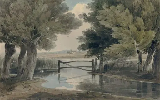 Landscape with pond and trees