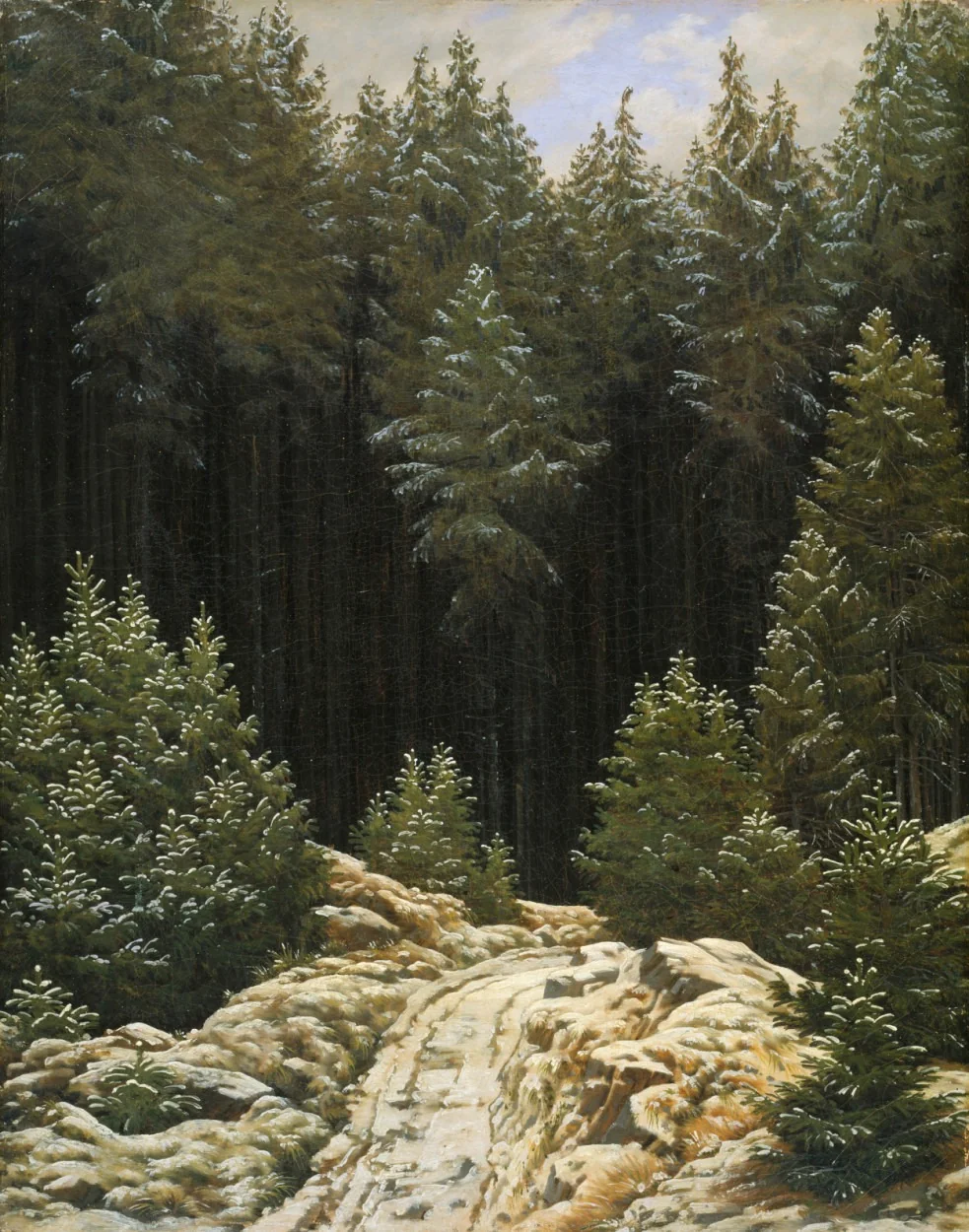 Early Snow