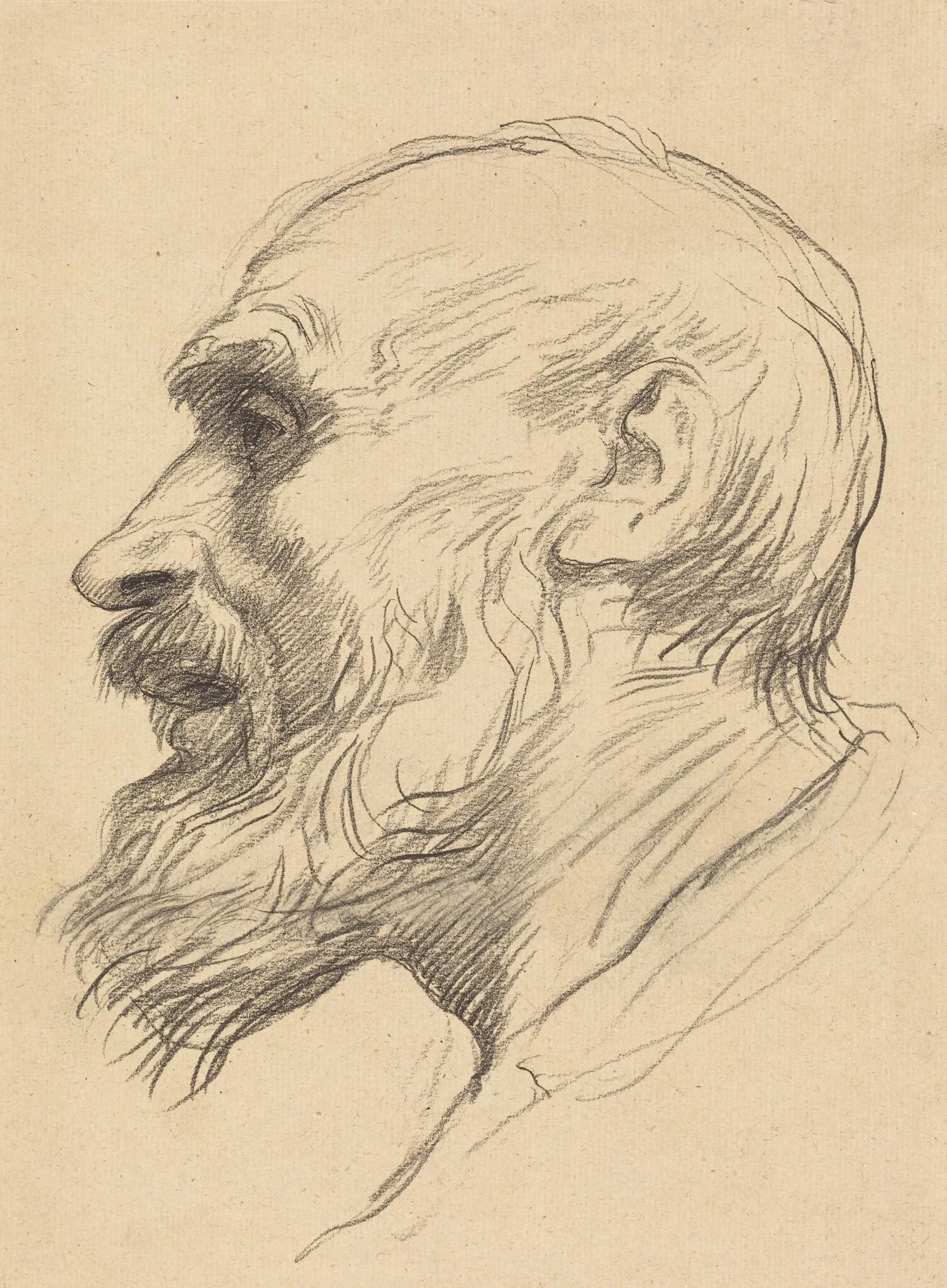 Head of an Old Man, by Alphonse Legros, crayon, 1874