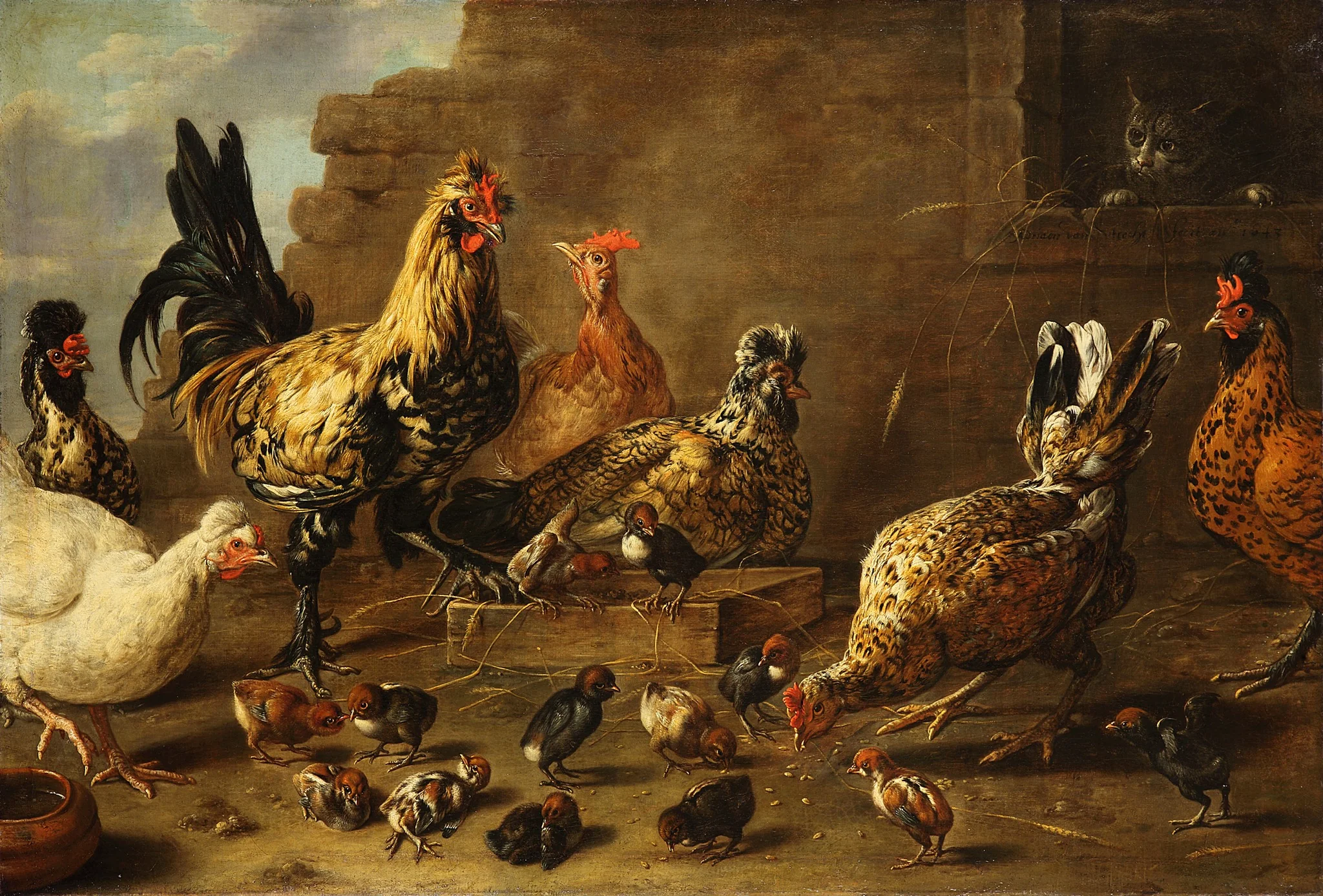 The chicken yard